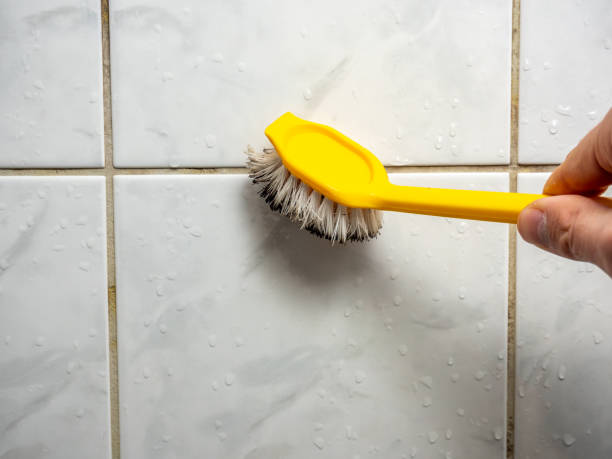Best Commercial Mold Removal  in Ellisville, MS