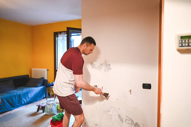 Best Crawl Space Mold Removal  in Ellisville, MS